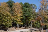 Omega Wildpark
