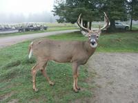 Omega-Wildlife-Park