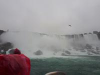 Ost-Kanada zum Indian Summer - Niagara-Fälle