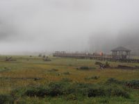 P1010346.JPG