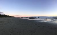 Pacific Rim National Park - Abendspaziergang am Chesterman Beach