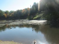 Parc Omega - Idylle