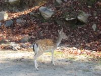 Parc Omega 