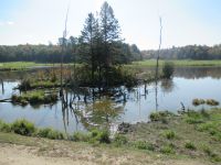 Parc Omega