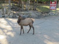 Parc Omega