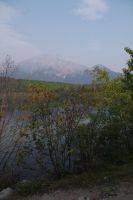 Patricia Lake