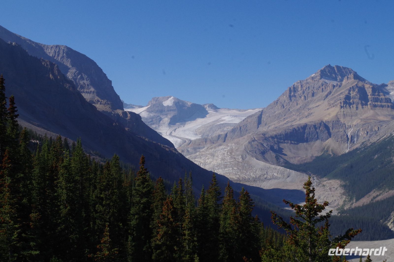 Peyto Gletscher
