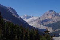 Peyto Gletscher