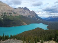 Peyto Lake 