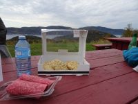 Picknick