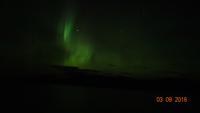 Polarlichter - Foto von Familie Dobner