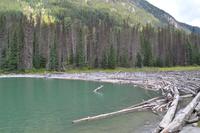 Provincial Park (4)