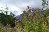 Provincial Park (8)