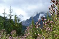 Provincial Park (9)
