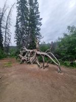 Pyramid Lake (11)