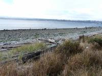 Quadra Island