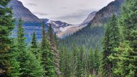 Red-Bus-Tour im Glacier-Nationalpark in Montana - Jackson Gletscher