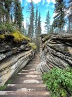 Rundgang an den Athabasca Wasserfällen