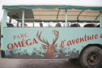 Safari im Park