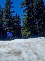 Schnee am Peyto (5)
