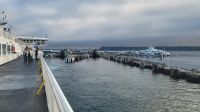 Singlereise Kanada - Überfahrt nach Vancouver Island