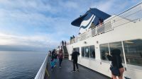 Singlereise Kanada - Überfahrt nach Vancouver Island