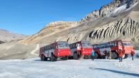 Singlereise Kanada - Athabasca-Gletscher am Columbia Icefield