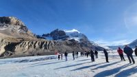 Singlereise Kanada - Athabasca-Gletscher am Columbia Icefield