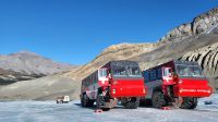 Singlereise Kanada - Athabasca-Gletscher am Columbia Icefield