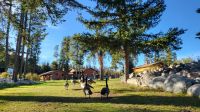 Singlereise Kanada - Beckers Chalets