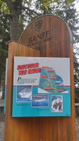Singlereise Kanada - Bow Falls bei Banff im Banff Nationalpark