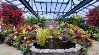Singlereise Kanada - Butchart Gardens auf Vancouver Island
