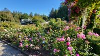 Singlereise Kanada - Butchart Gardens auf Vancouver Island
