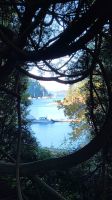 Singlereise Kanada - Butchart Gardens auf Vancouver Island