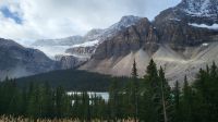 Singlereise Kanada - Crawfoot Gletscher