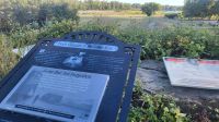 Singlereise Kanada - Fort Calgary
