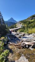 Singlereise Kanada - Glacier Nationalpark in den USA