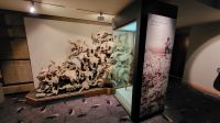 Singlereise Kanada - Head-Smashed-In-Buffalo Jump