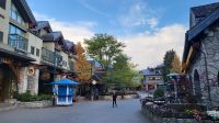 Singlereise Kanada - Olympia-Ort Whistler