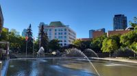 Singlereise Kanada - Rundgang in Calgary