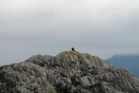 Sitka: Ausflug 