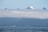 Sitka: Ausflug 