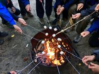 Smores