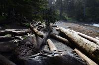 South Beach Trail 2