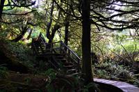 South Beach Trail 4