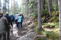 Spaziergang am Maligne Canyon im Jasper-Nationalpark