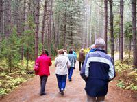 Spaziergang durch das Holzfällermuseum
