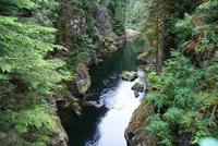 Spaziergang im Regenwald