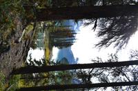 Spirit Island (8)