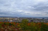Stadtrundfahrt in Montréal - Blick vom Mont Royal